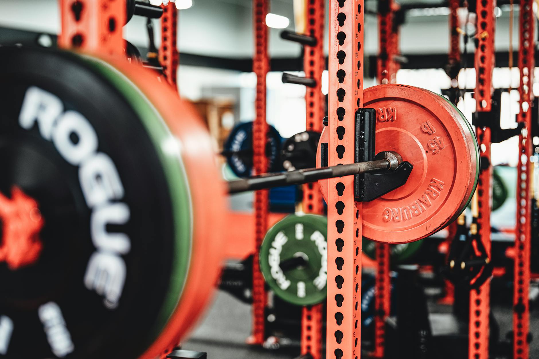 5x5 vs 3x10: Which Rep Range Builds More Muscle
