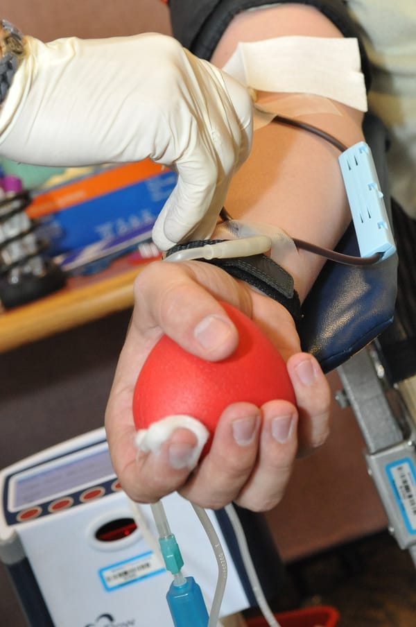 Blood Work for Lifters: What to Test and How Often