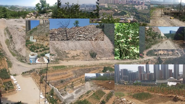 Farmer's Walks: The Loaded Carry Every Program Needs