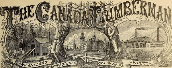 How to Lose 20 Pounds Without Losing Strength