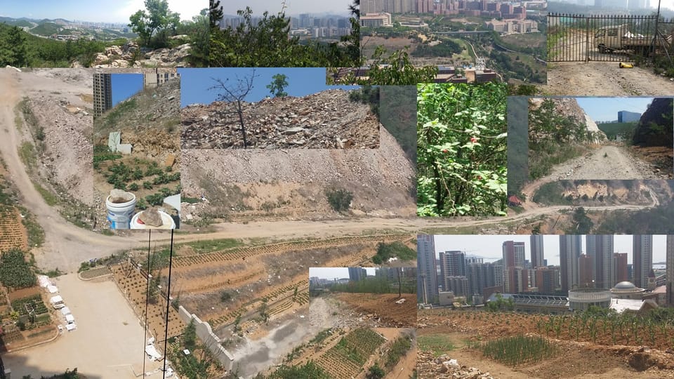 Farmer's Walks: The Loaded Carry Every Program Needs